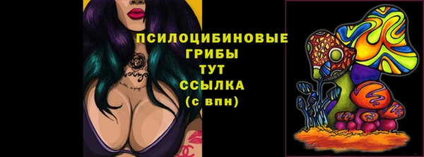 мефедрон Гусиноозёрск
