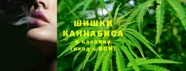 ECSTASY Гусев