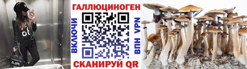 Галлюциногенные грибы MAGIC MUSHROOMS  Купить где  Зеленогорск 